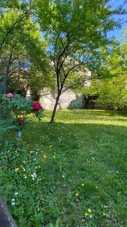Villa Molinazzo Cicagna Kültér fotó